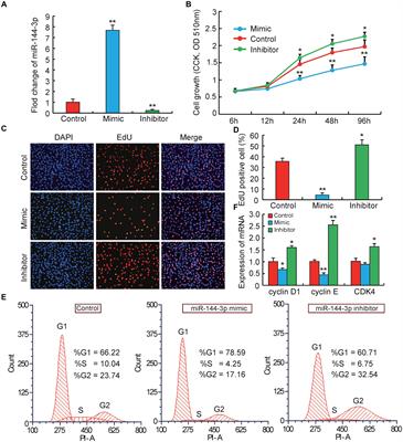 miR-144-3p Promotes Adipogenesis Through Releasing C/EBPα From Klf3 and CtBP2